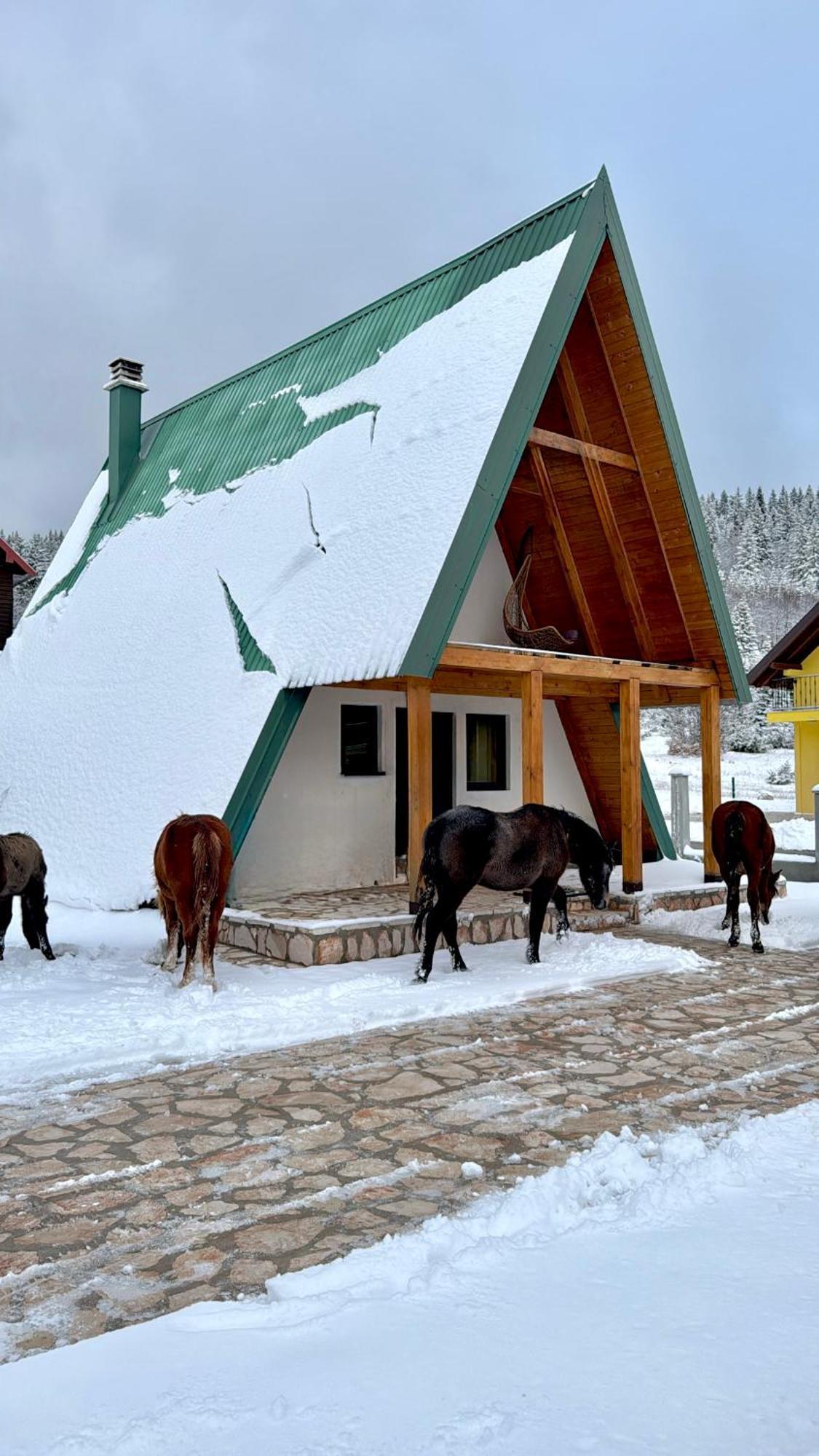 Woodside Zabljak Žabljak Exterior foto